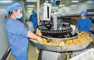 雏鸡带来勃勃生机 食品互联网销售新趋势