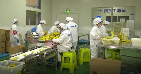 一防两不停 确保开门红——望谟加班加点赶制特色年货，拓展食品互联网销售