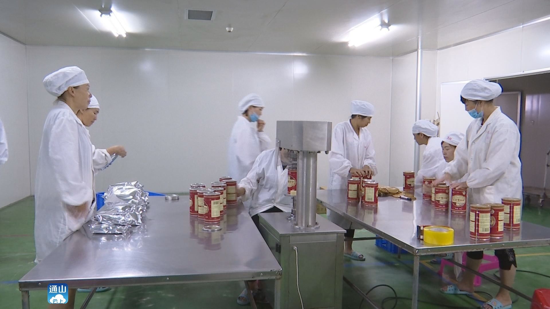 通山 培育高质量发展新动能，聚焦食品互联网销售